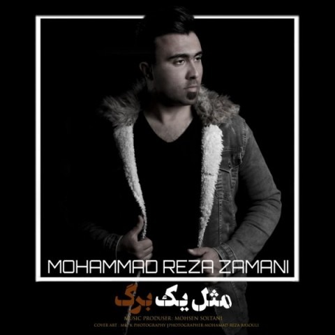 دانلود آهنگ محمد رضا زمانی مثل یه برگ با کیفیت 320